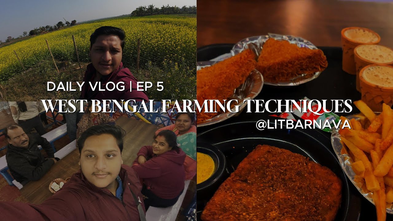 West Bengal farming vlog | Bengali people make vlogs in Hindi | DAILY VLOG