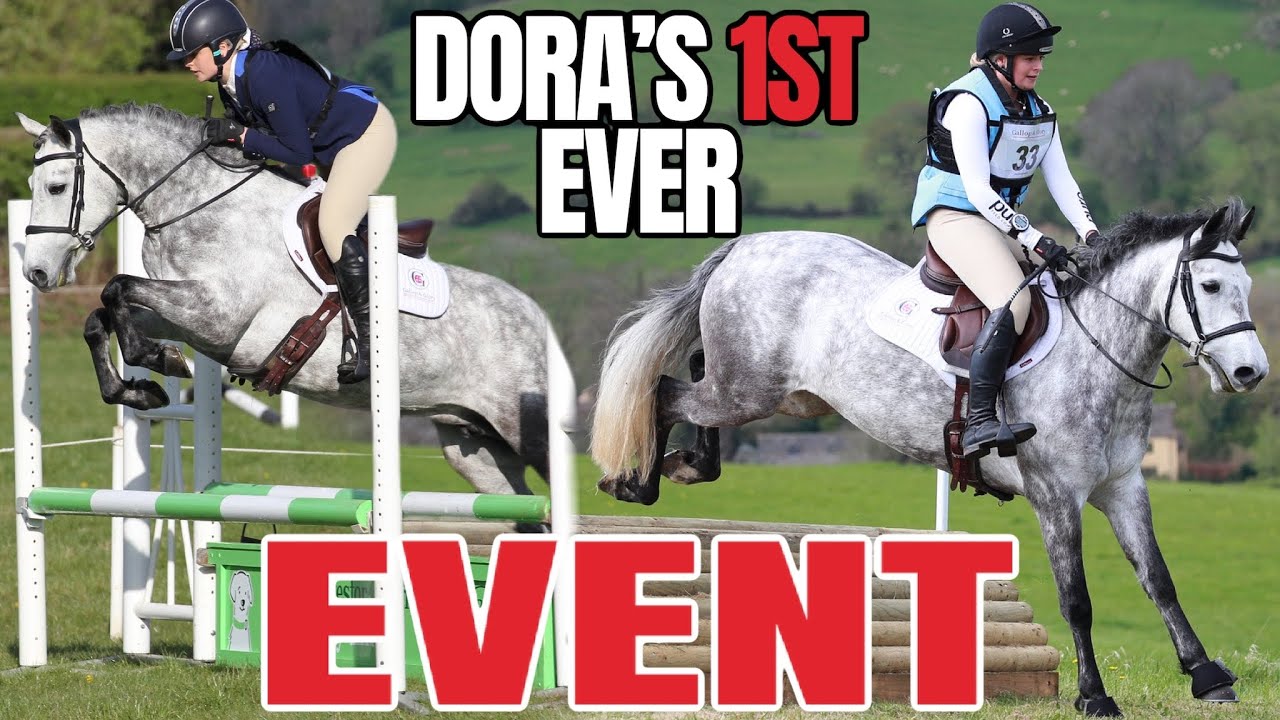 MY BABY HORSE’S 1ST EVER ONE DAY EVENT