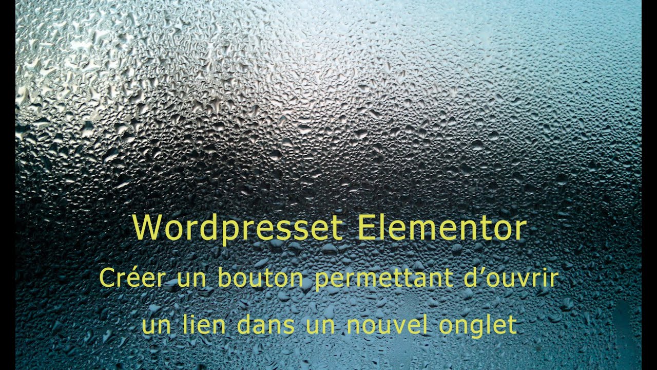 Wordpress Elementor Bouton  lien