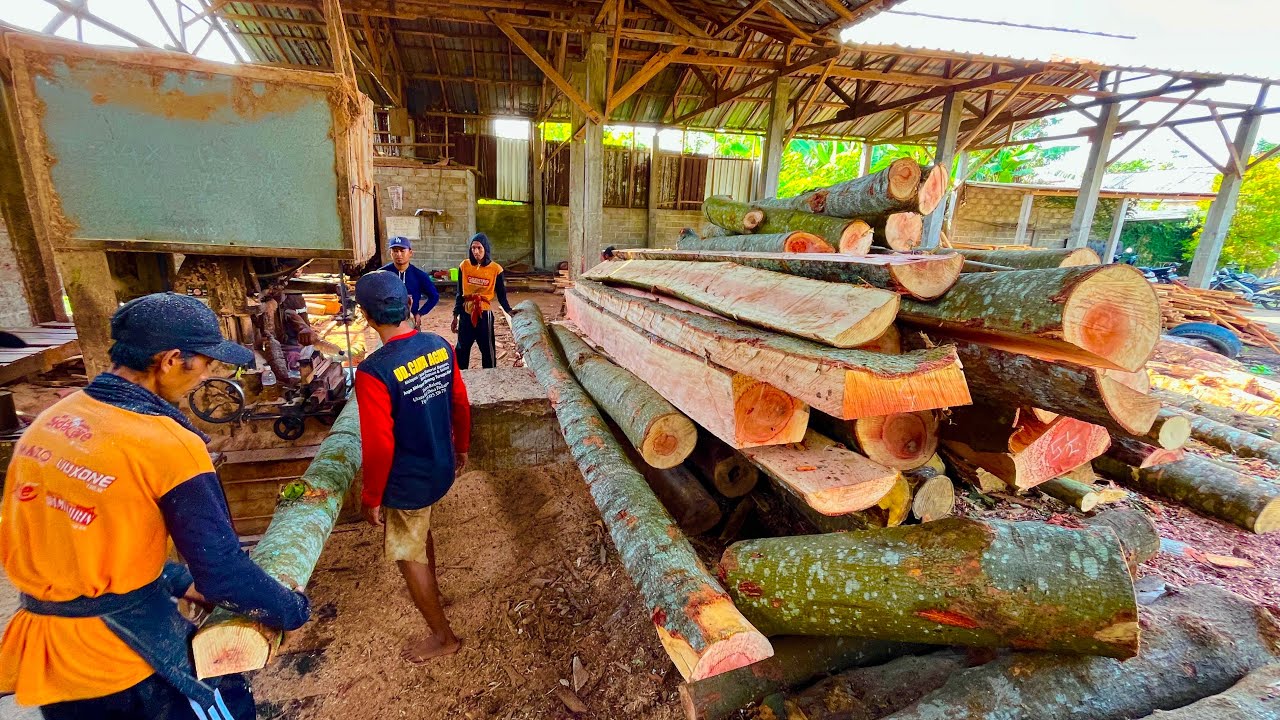 A Trembling Preparation! Watching an Operator Saw a 6-Meter Long Log