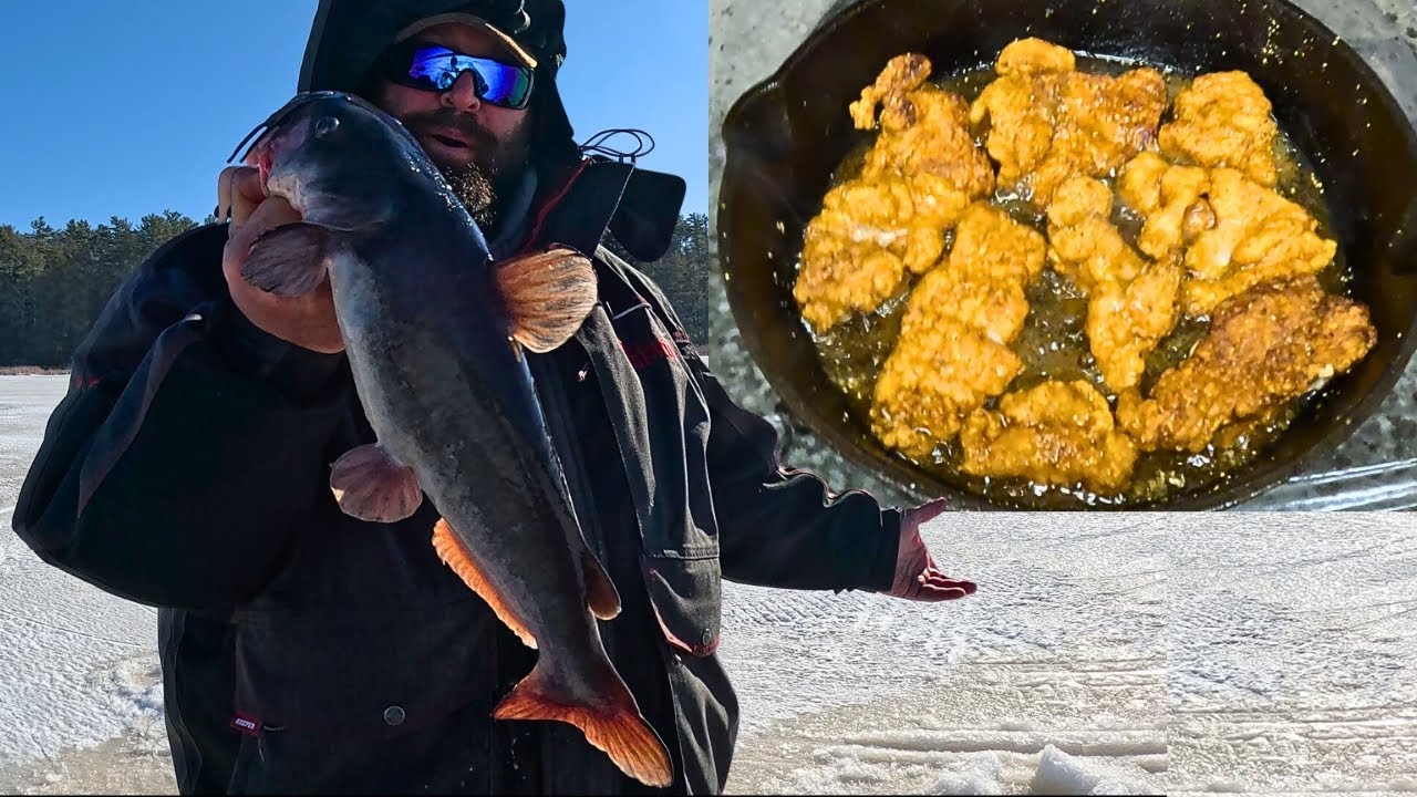 Catfish Ice Fishing CATCH AND COOK