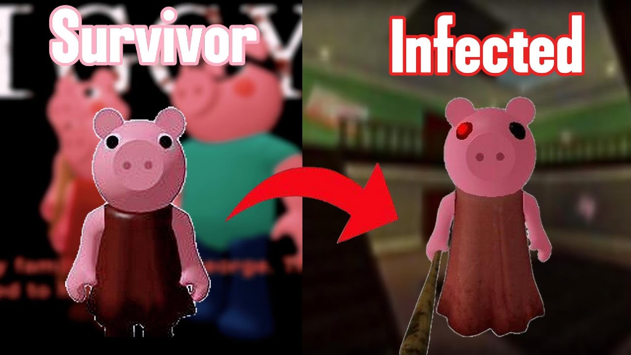 Every Book 1 Character/Skin Explained THOROUGHLY!
