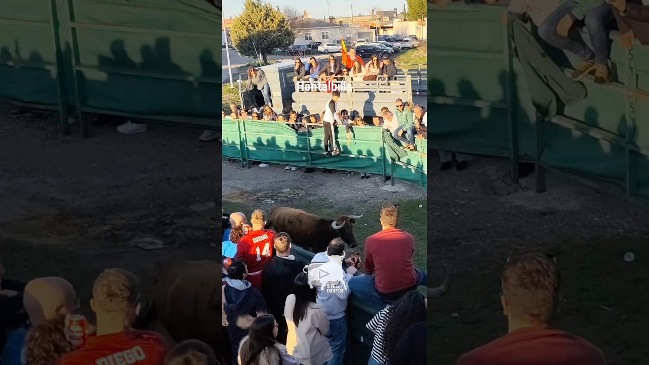 Capea Hontalbilla #parte3 #shorts