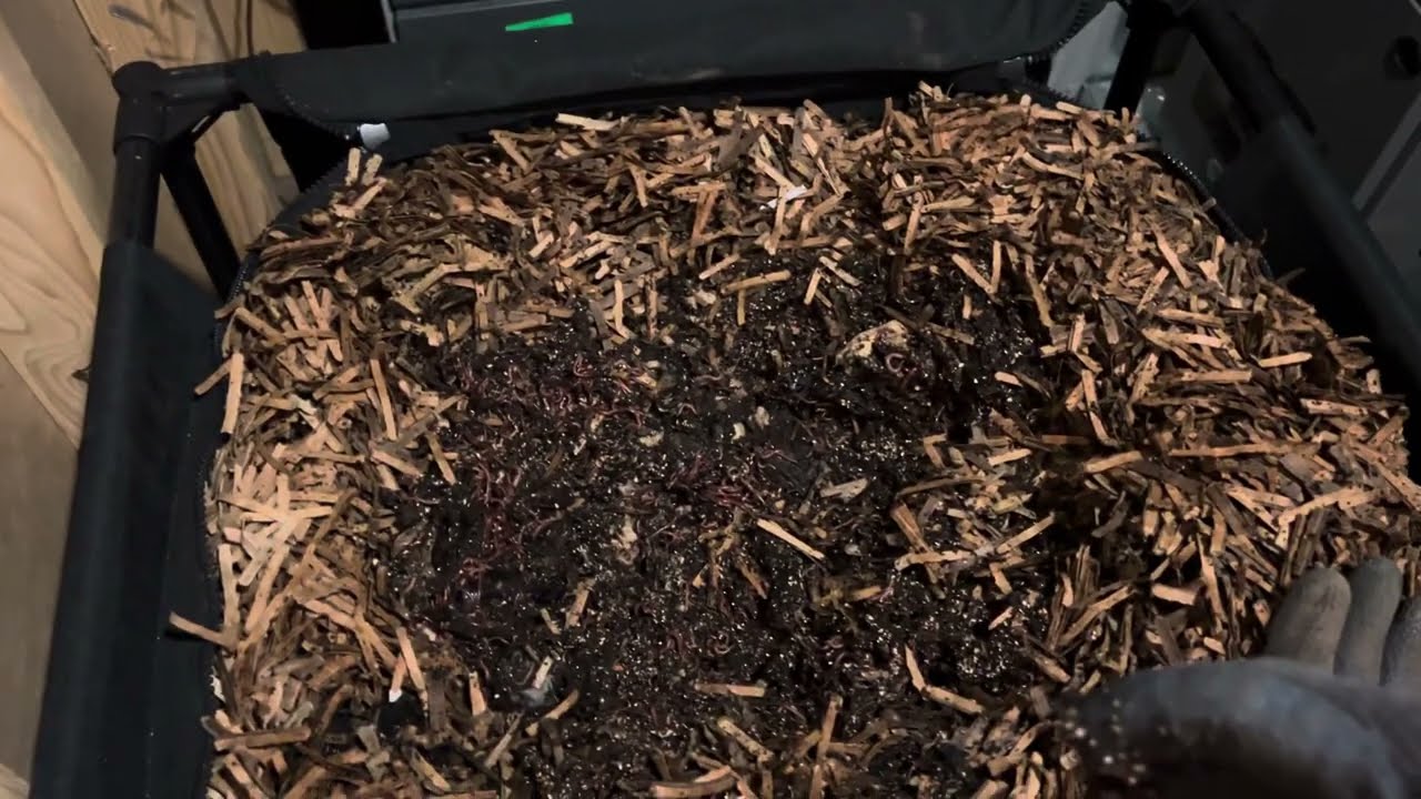 What I feed my composting worms every week - Urban Worm Bag from @UrbanWormCompany
