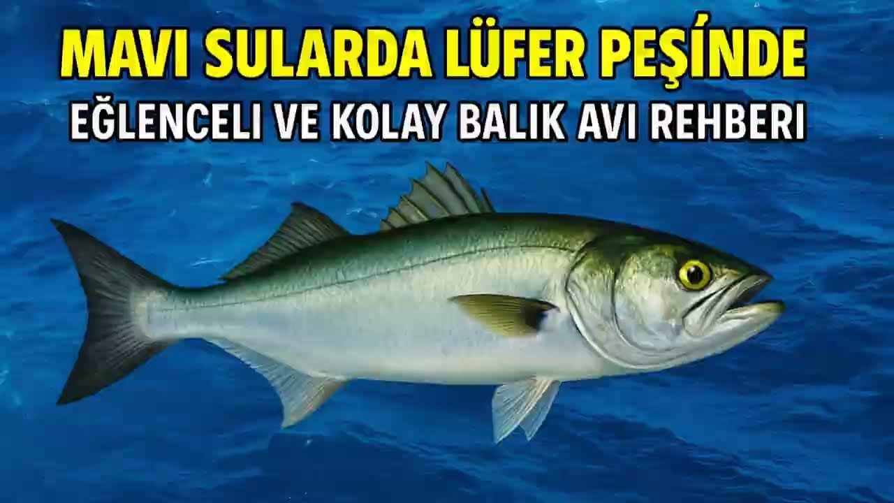 Denizde Lüfer Avı: Temiz Hava, Güzel Balık!