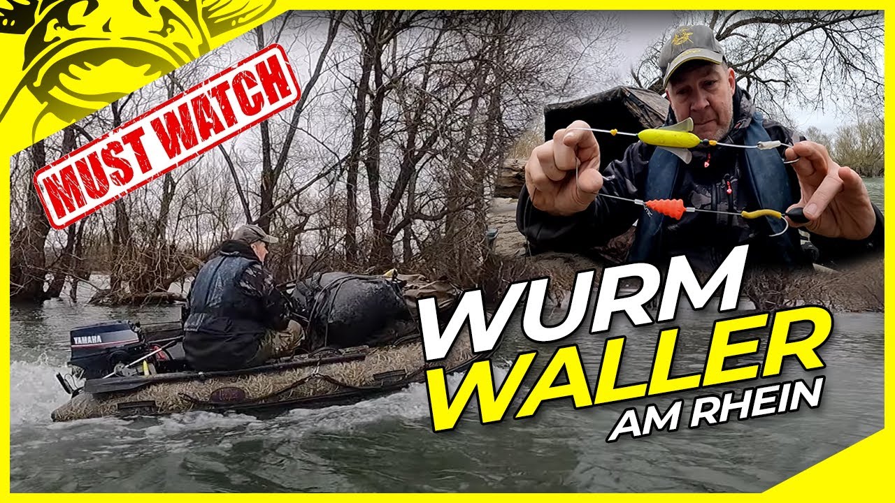 Die GRÖSSTEN Frühlingsgeheimnisse | WELSANGELN in DEUTSCHLAND | WURM-Waller am RHEIN mit U-Pose.