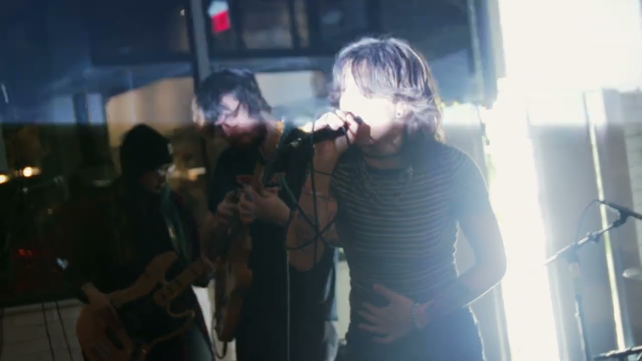 Mr. Princess - Cool Beans in the Shadows (Nature's Oasis Live Session) Music Video