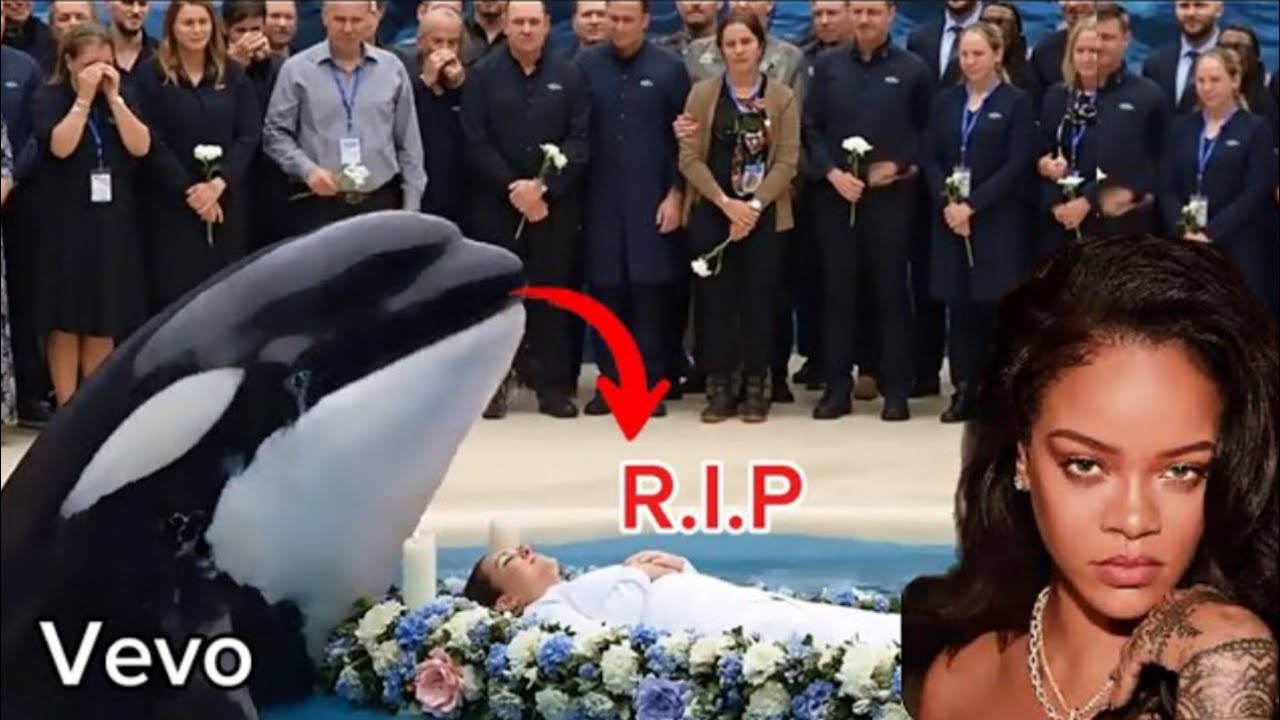 Rihanna ft Chris Brown - Rest In Peace Orca Whale Trainer 'Jessica Radcliff'  |  Unofficial Video