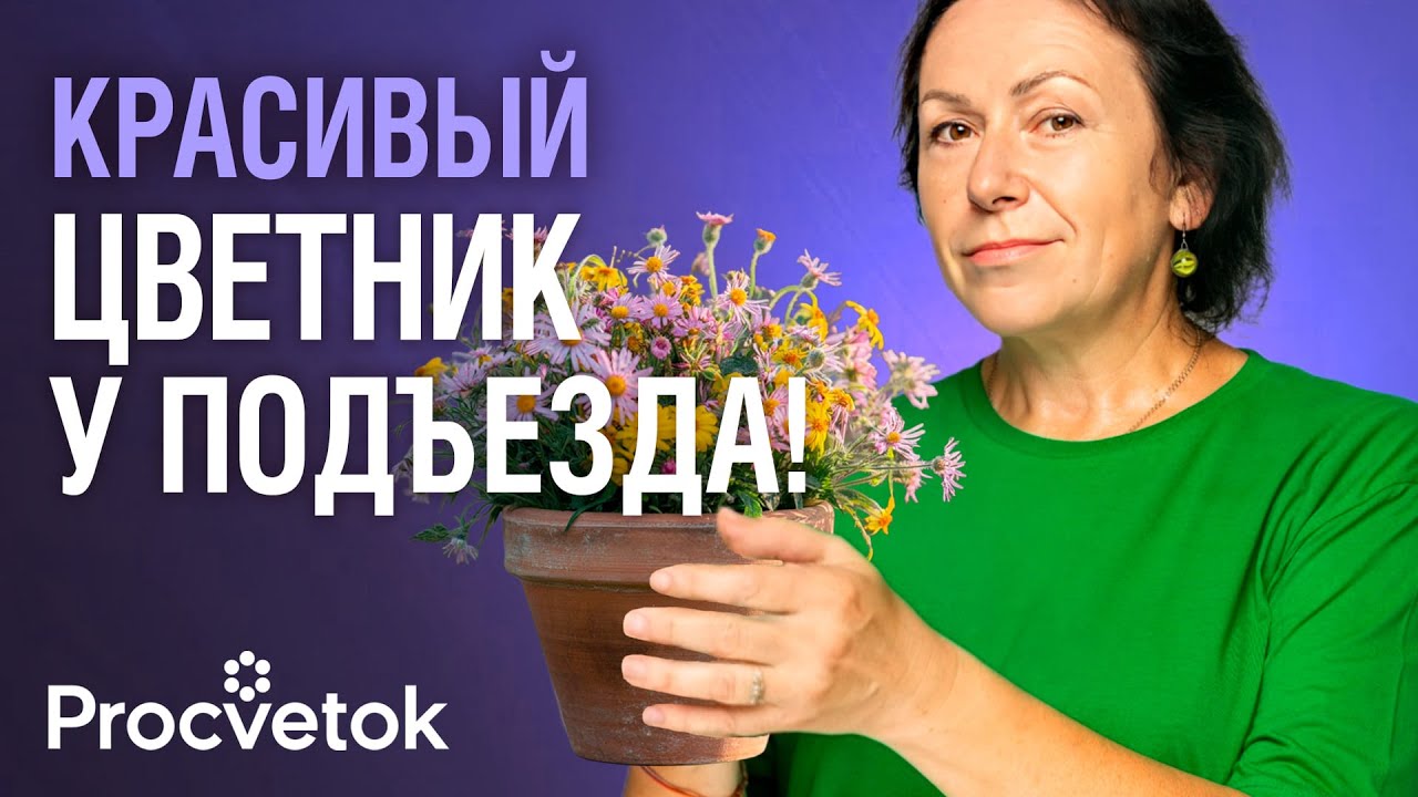 АНТИВАНДАЛЬНЫЙ ЦВЕТНИК ВОЗЛЕ ПОДЪЕЗДА! Эти цветы не выкопают, не срежут, а выглядят они потрясающе