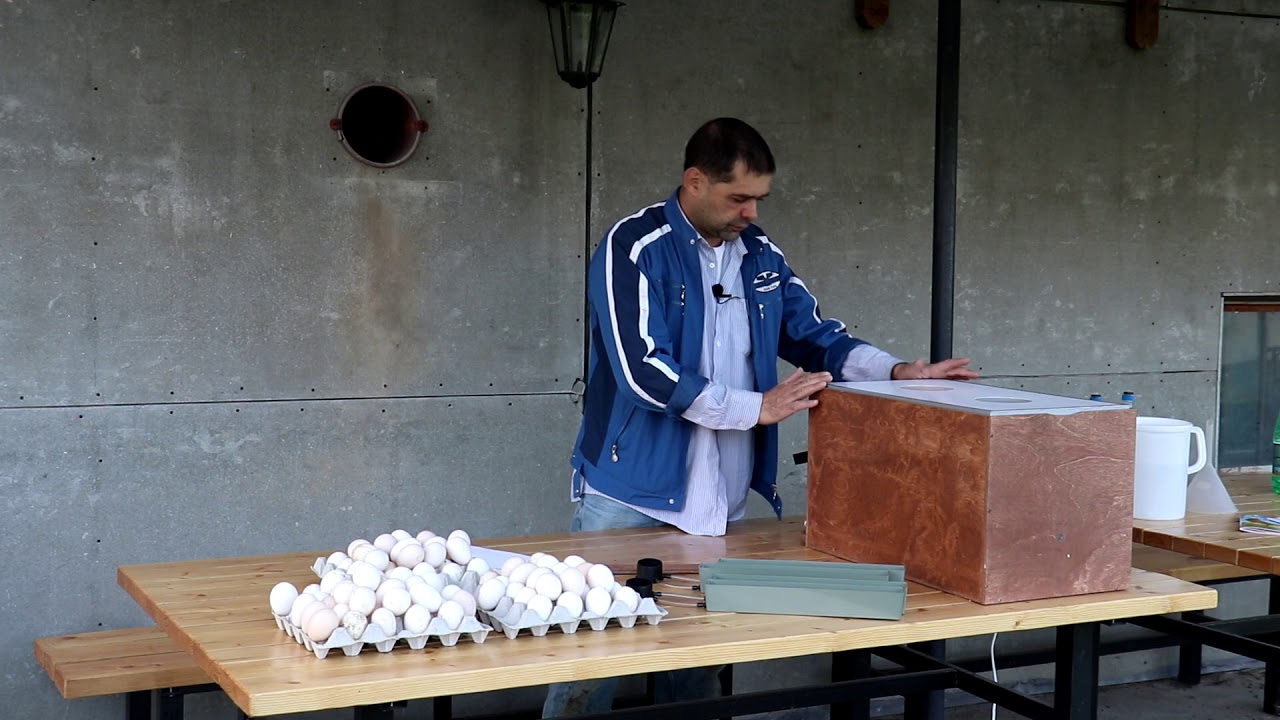 Инкубируем яйцо Пушкинских кур. Инкубатор БЛИЦ-120Ц.ч.1 Закладка.