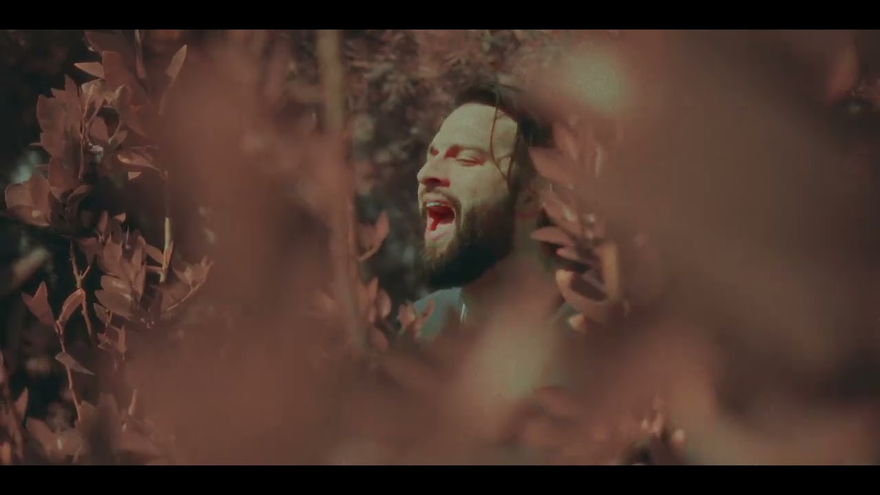 palettes - magenta. (restless) [Official Music Video]