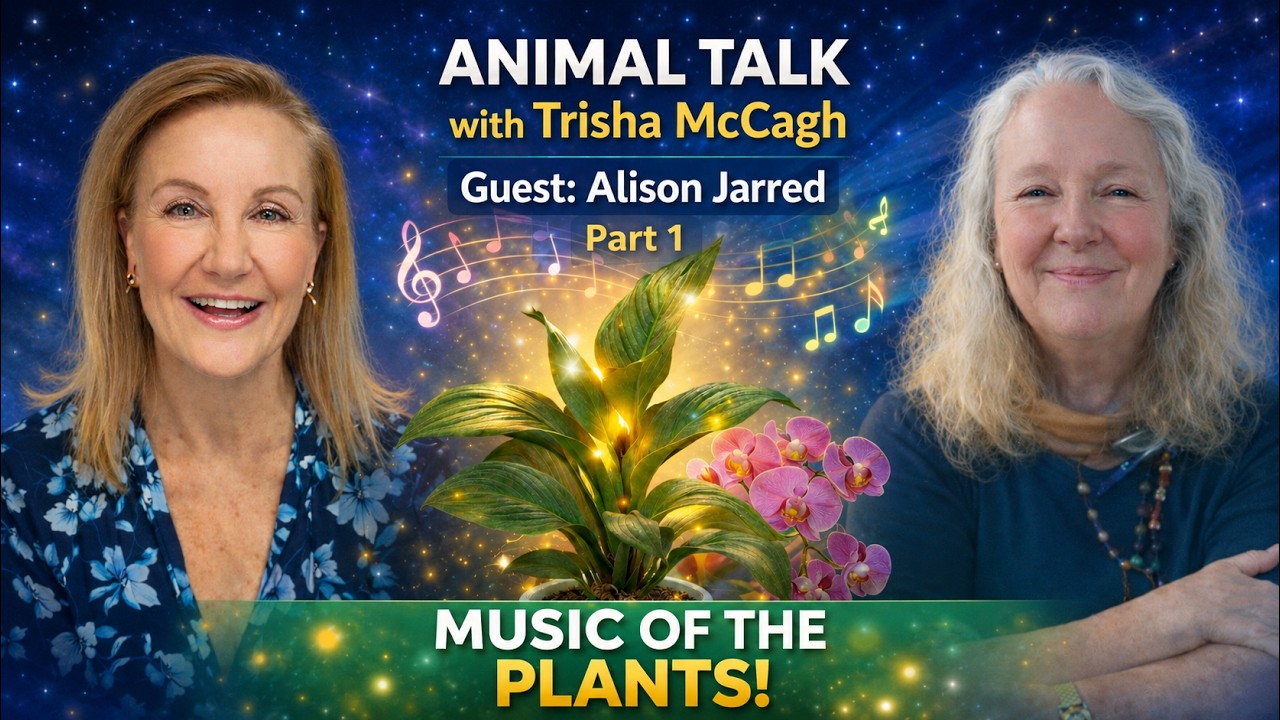 The Magic of Plant Consciousness
