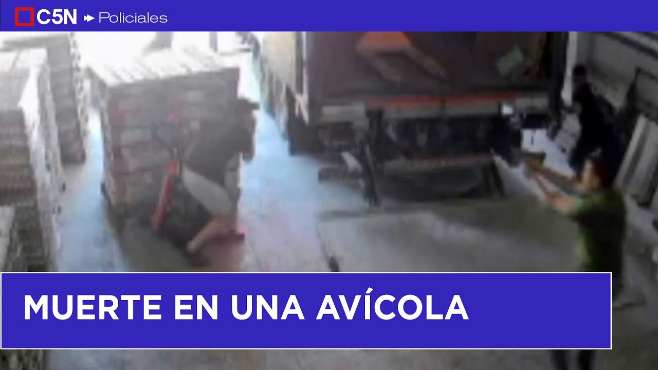 Intento de ROBO y MUERTE en una av&iacute;cola de MATADEROS
