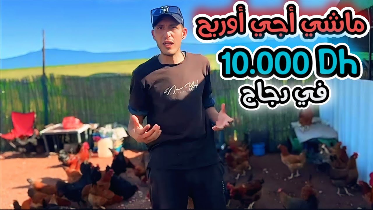 يوم في رمضان مع الدجاج والبادية جمع حصيلة البيض + لمحصول لزرعنا كبر خلطنا لقطيع لأول مرة اجواء جميلة