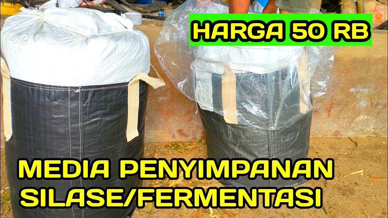 Kolam silase jumbo bag murah 50rb kapasitas 1,5 kintal ❗media penyimpanan silase