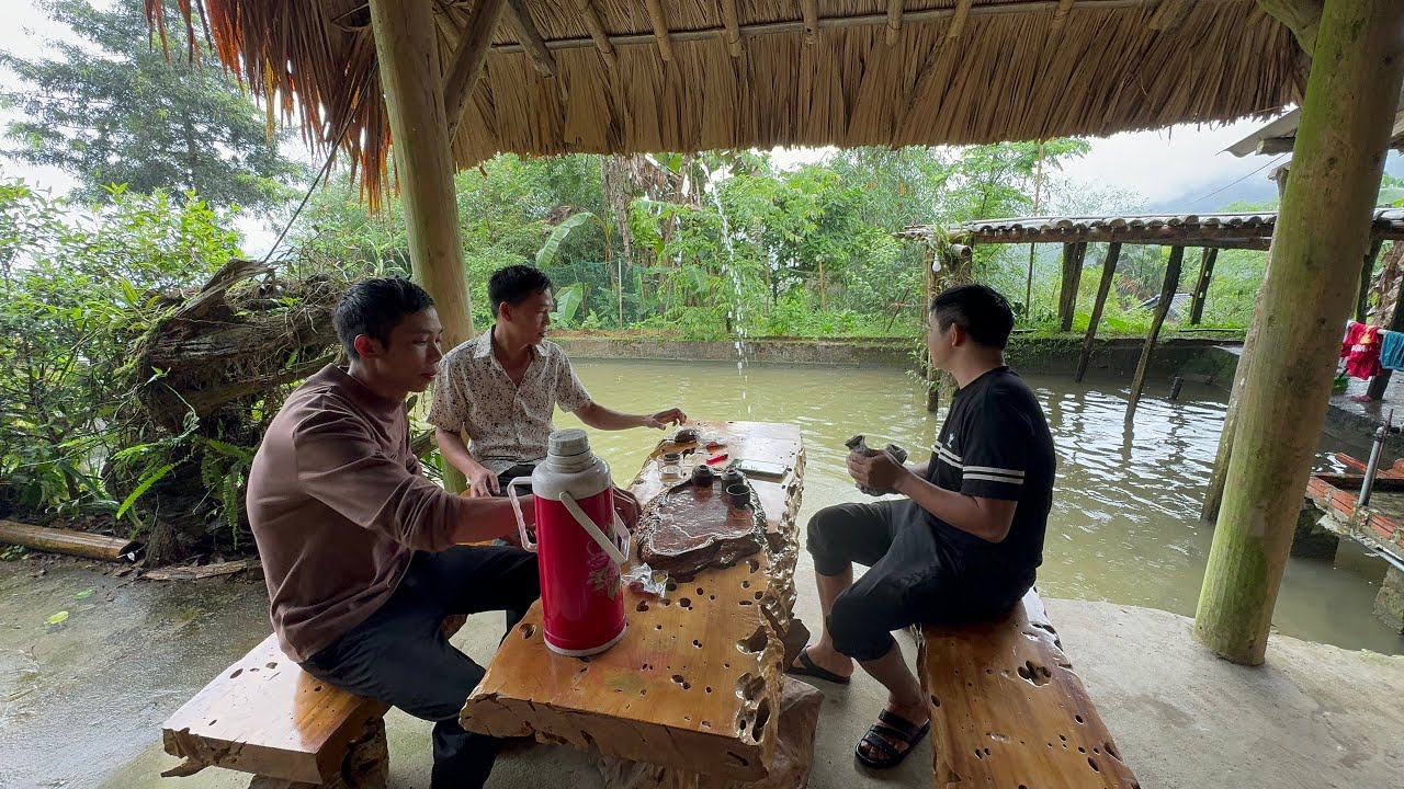 Săn Lợn Khủng Trên Bản. Gặp Ao Cá Thần Khủng  Nhất Bản | TÀY TV