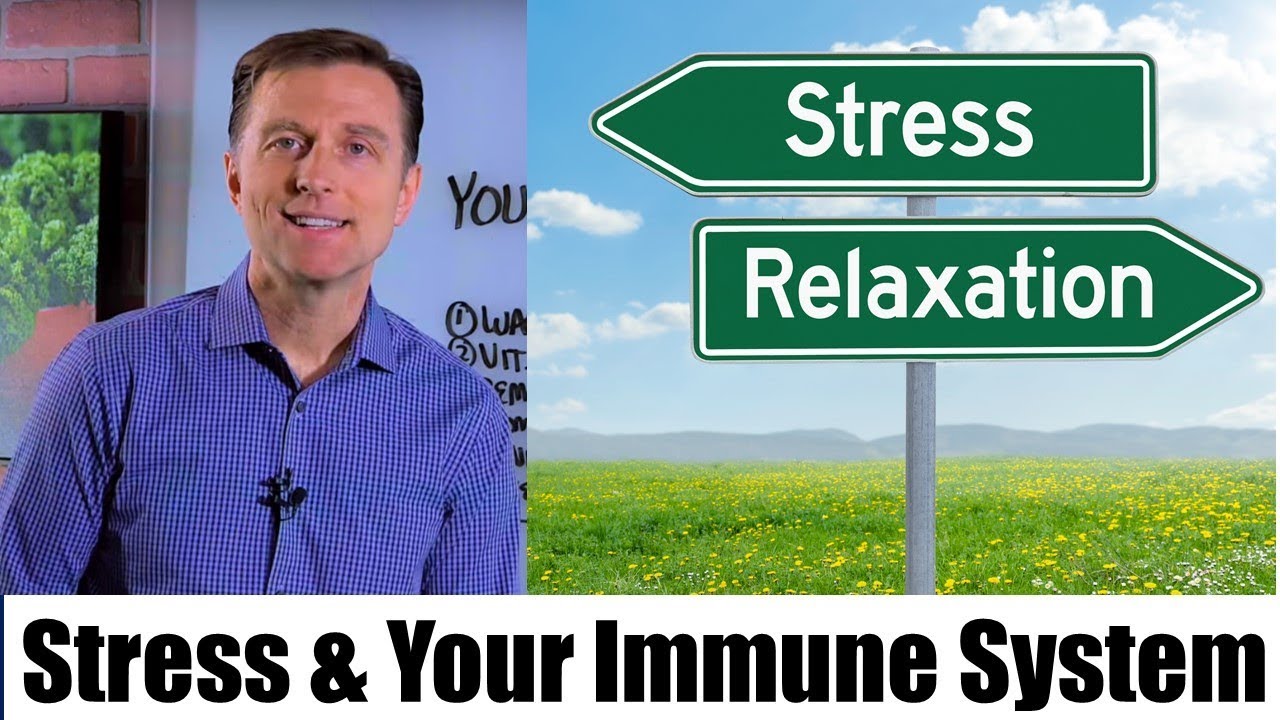 Stress & Your Immune System