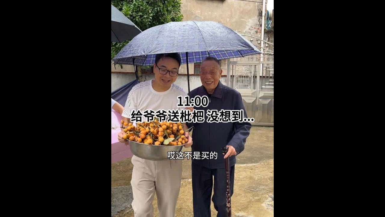冒雨摘了枇杷回去看爷爷，没想到爷爷竟然扭伤脚好几天了， 爷爷矗立在雨中等我。我也很好奇，为什么也总能算准我回去的时间，今天终于明白了无论刮风下雨在门口盼一盼，早已成为了他的习惯。每天陪伴92岁爷爷的
