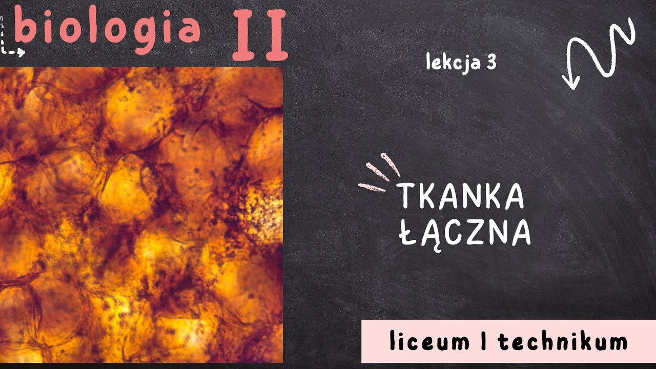 Biologia 2 LO [Lekcja 3: Tkanka łączna]
