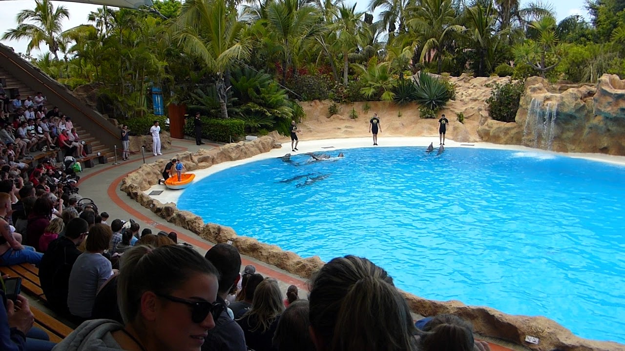 Loro Parque Dolphin Show (2018) (1080p HD)