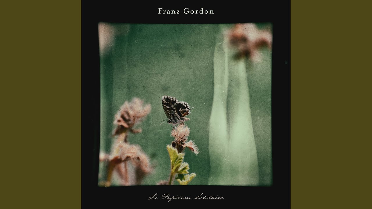 Le Papillon Solitaire