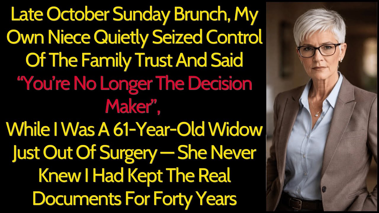 My Own Son Helped Steal My Will “You Signed It” I Was A Widowed Mother — He Never Saw This Coming