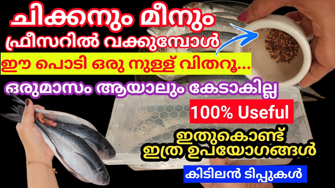 ഇതറിയാതെആണോ ഇത്രനാളും മീൻ ഫ്രീസറിൽ വച്ചത് അറിയാത്തവർ കണ്ടുനോക്കൂ|Tips