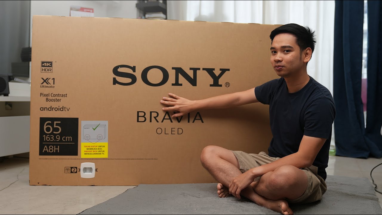 NO SONY NO PARTY! AKHIRNYA BISA BELI TV IMPIAN!!