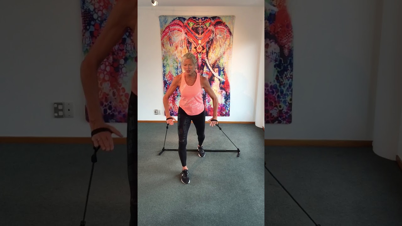 Heidi's Gymstick at Home