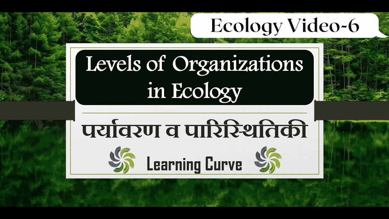 Video-6-Levels of Organization in Ecology-Individual, Population and Community-Major and Minor.