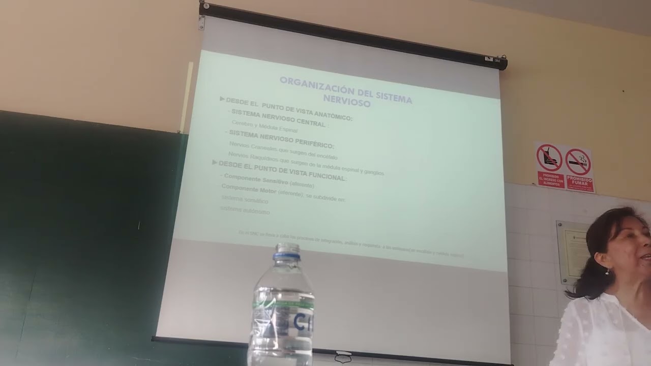 teoria de sistema nervioso