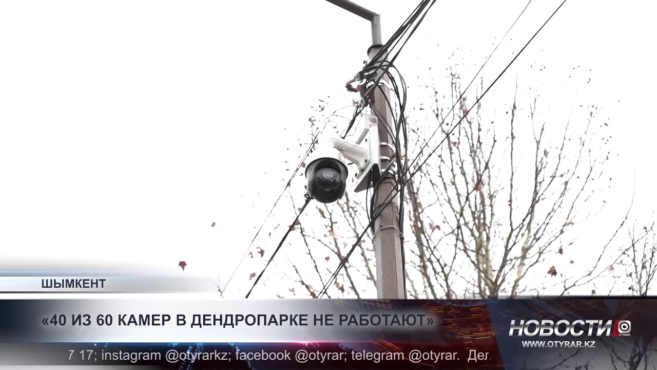 После трагедии в дендропарке выявлены серьёзные сбои системы наблюдения