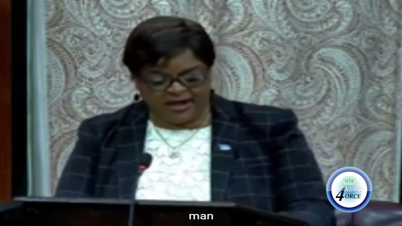 SENATE BUDGET DEBATE PROCEEDS, DESPITE OPPOSITION BOYCOTT