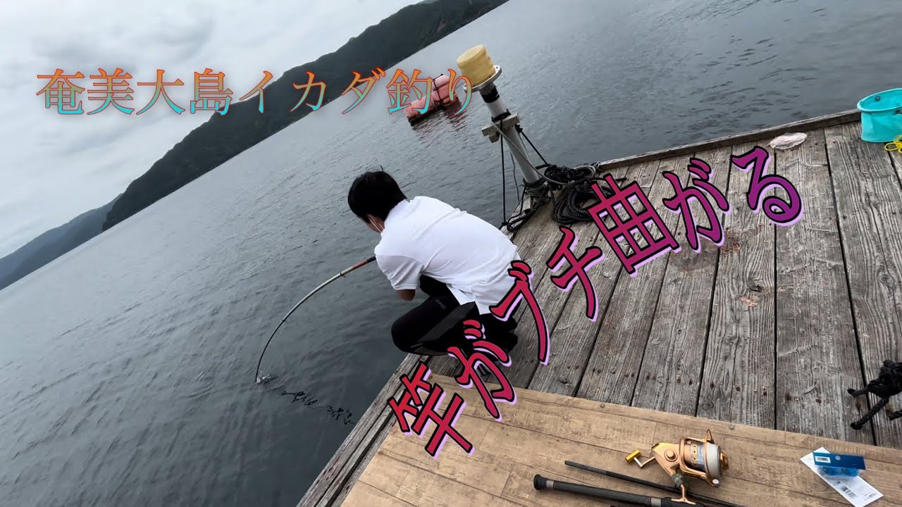 奄美大島イカダ釣り編🎣竿が海面に突き刺さる🔥大物がウヨウヨいる神イカダ🤩#奄美大島#釣り