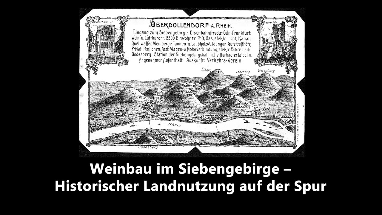 Weinbau im Siebengebirge &ndash; Historischer Landnutzung auf der Spur