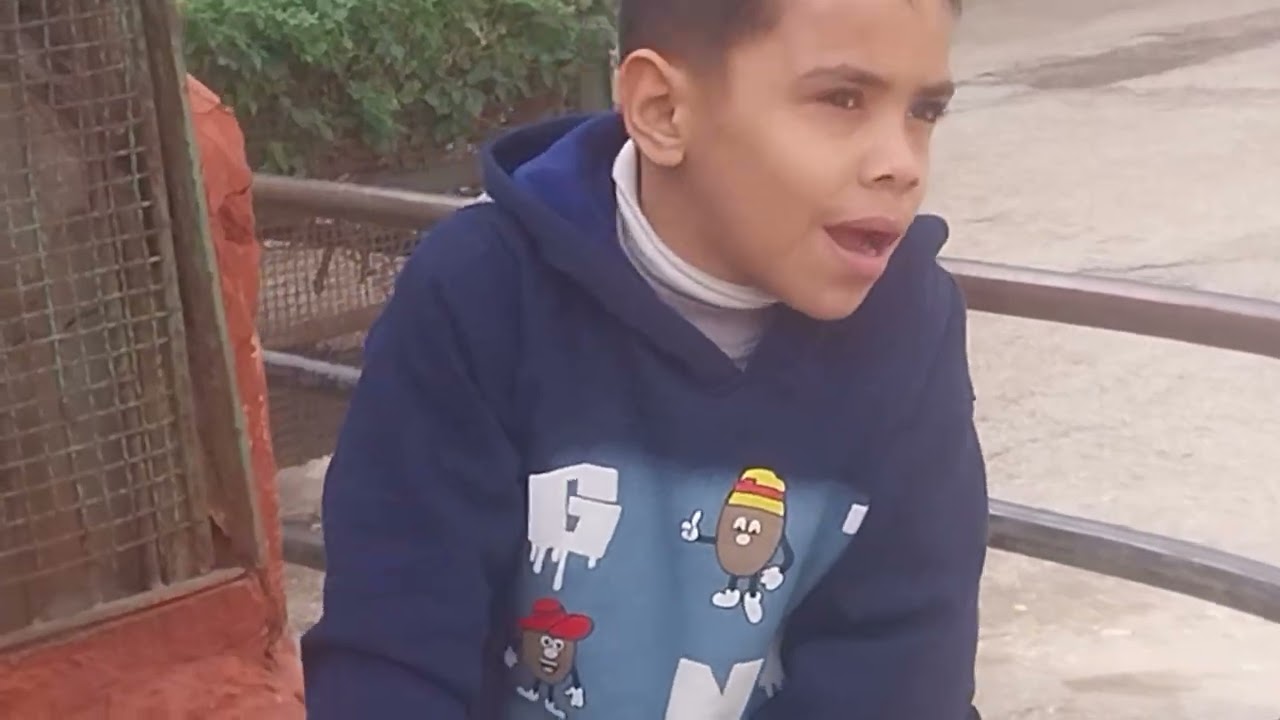 جباليت القرود