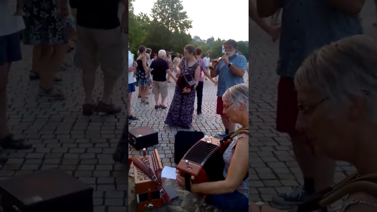 Accord&eacute;on diatonique &aacute; Foug&egrave;res, Bretagne (Trekzak in Foug&egrave;res, Bretagne)