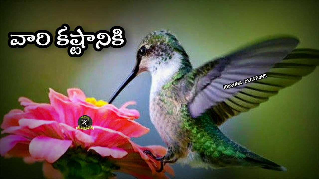 Motivation quotes Telugu WhatsApp status Telugu quotes Krishna Creations