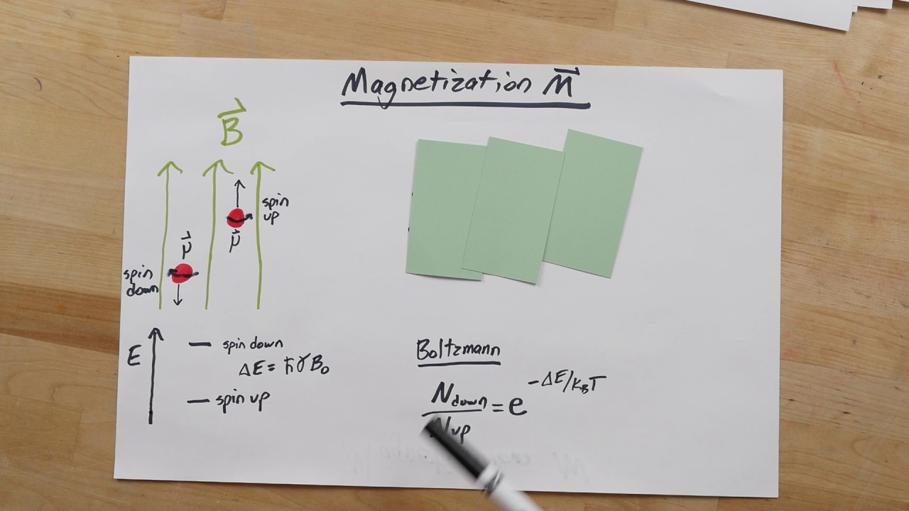 MRI Magnetization