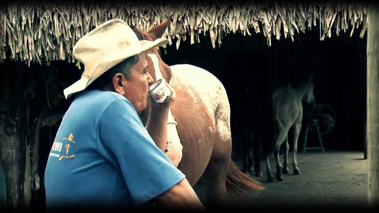 PAUTE&Ntilde;O QUE SE (RESPETE DANIEL GUALDRON) cropped