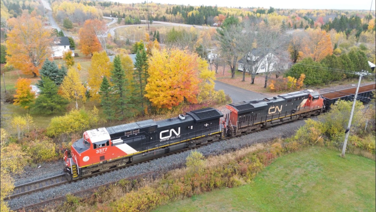 Awesome Aerial 4K View & Fall Foliage Colours! Long Manifest Train CN 305 passing Berry Mills, NB