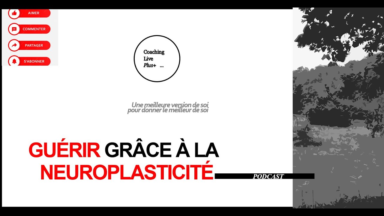 GU&Eacute;RIR GR&Acirc;CE &Agrave; LA NEUROPLASTICIT&Eacute; (NORMAN DOIDGE)