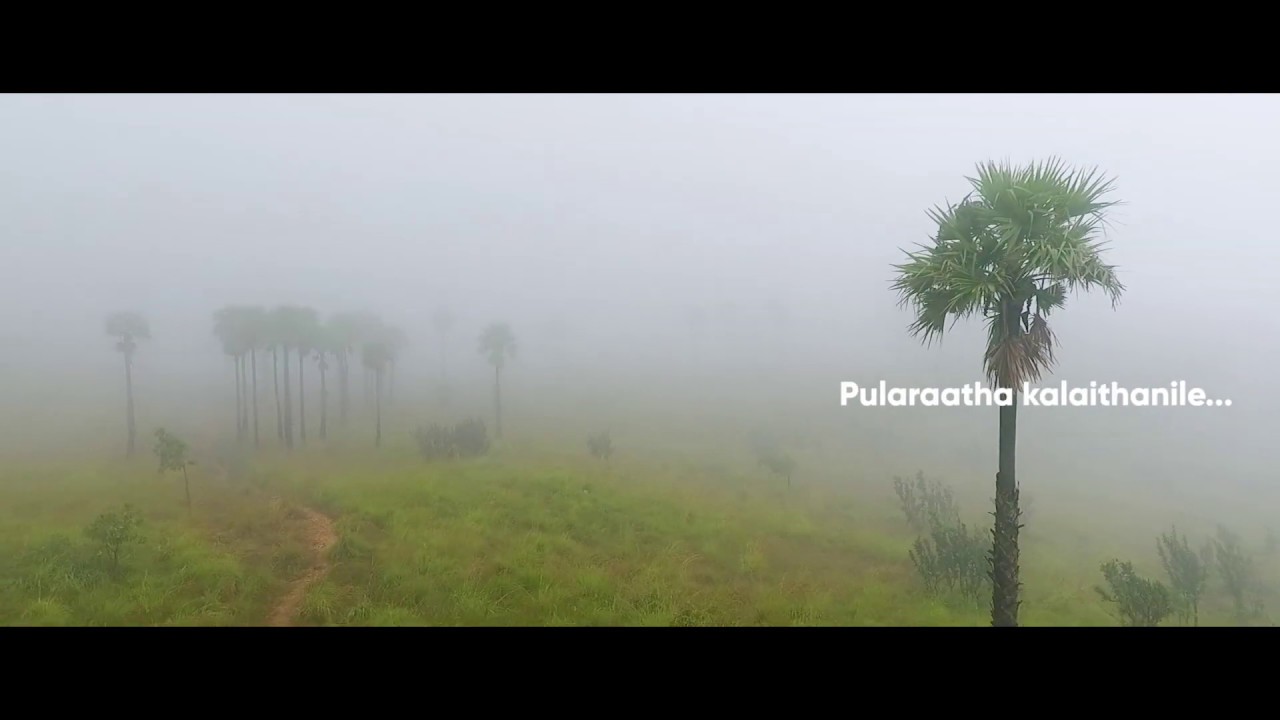 Pularadha kalai thanile - lyrics Video Cover Song