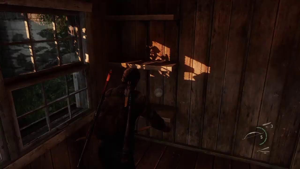 The last of us