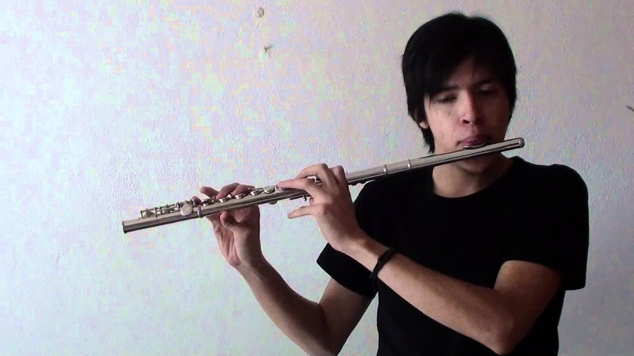 Toreador - Carmen (Flauta Transversa)