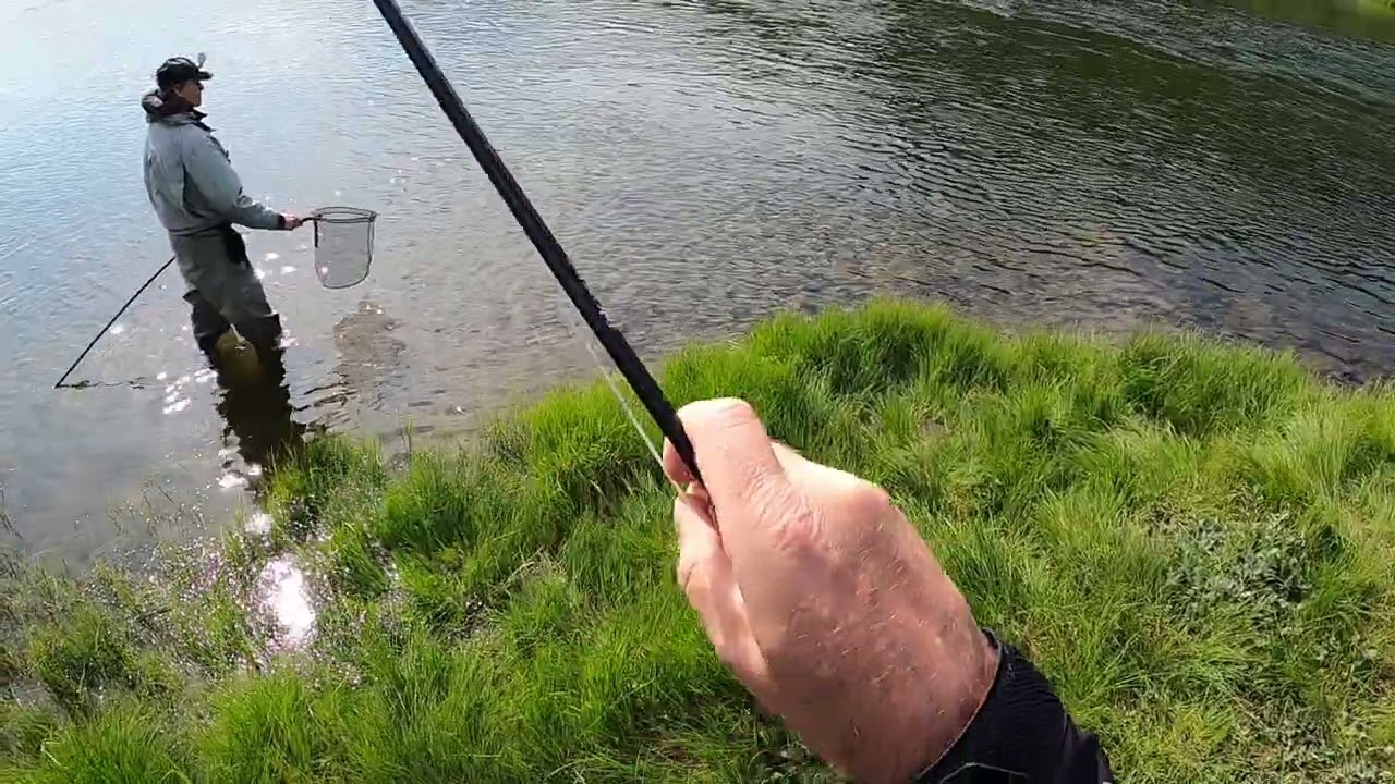 Ransarån nedre selet öring
