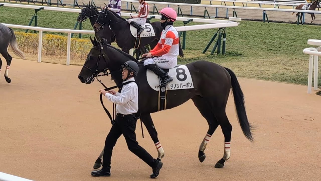 【3歳1勝クラス】ダノンバーボンまた楽勝！これは本物！！