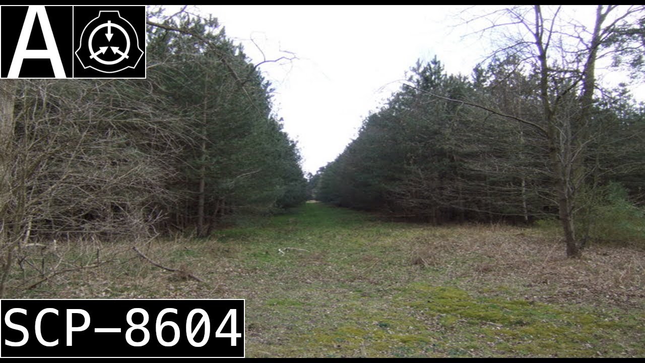 SCP-8604 