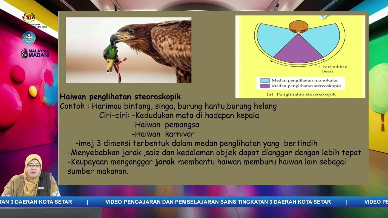 SAINS TINGKATAN 3: PENYENGGARAAN DAN KESINAMBUNGAN HIDUP (PART 4)