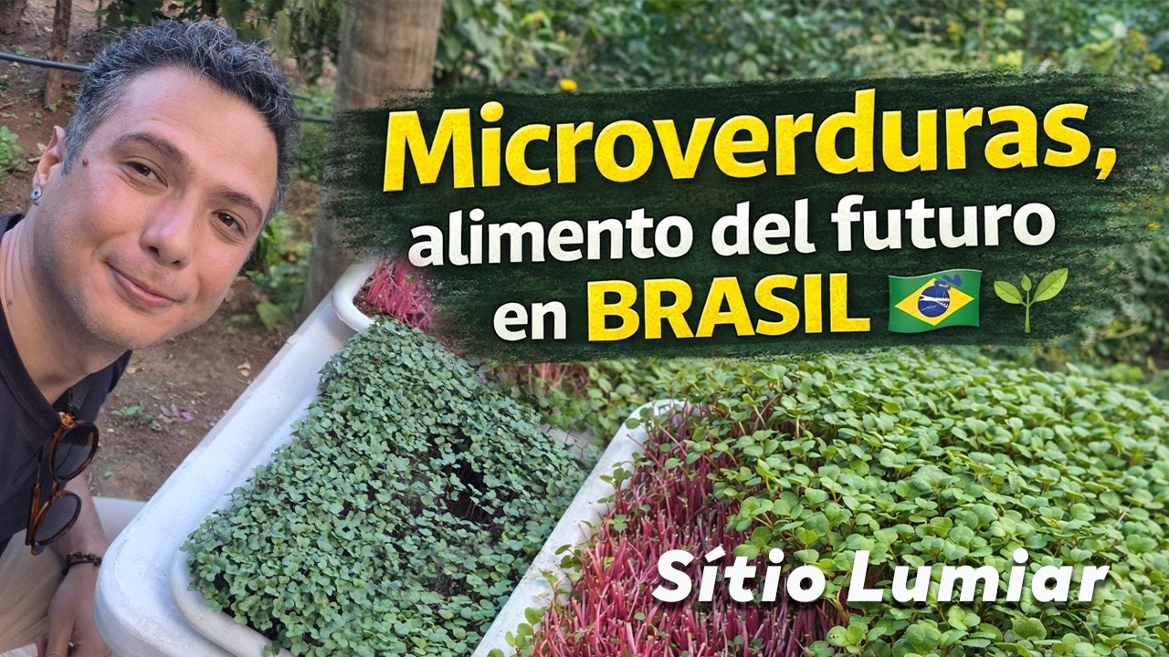 El Brasil que nadie te muestra: Cultivando Microverduras en la montaña